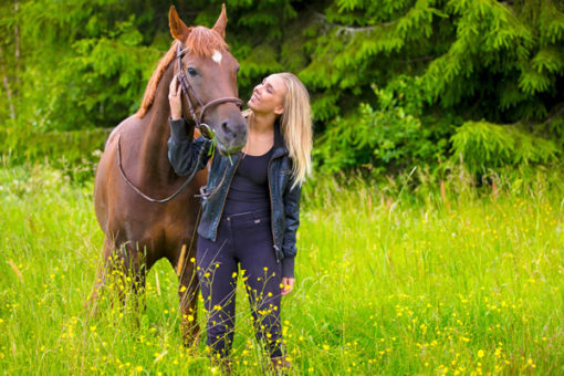 equine inspired coaching for women healing through horses